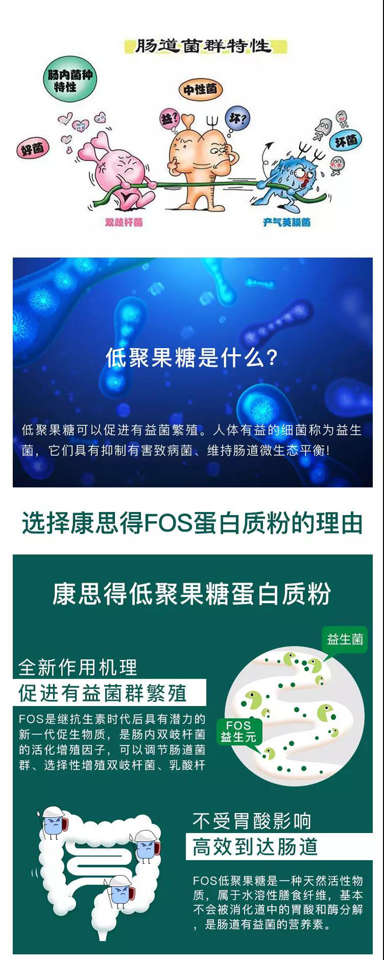低聚果糖蛋白质粉(图2)