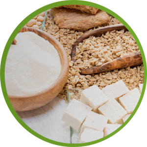 康思得公司开创业内三项“第一”的傲人荣誉(图1) 康思得公司开创业内三项“第一”的傲人荣誉(图1)