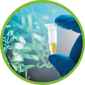 康思得公司开创业内三项“第一”的傲人荣誉(图3) 康思得公司开创业内三项“第一”的傲人荣誉(图3)